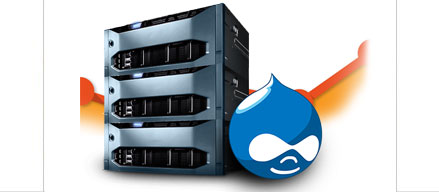 Drupal Hosting